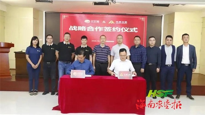 新澳门六合彩官网