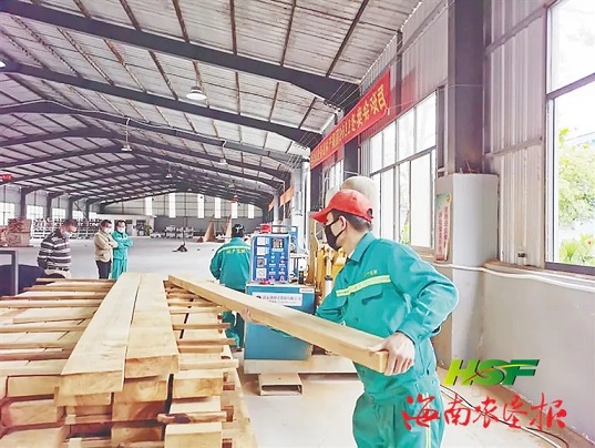 新澳门六合彩官网