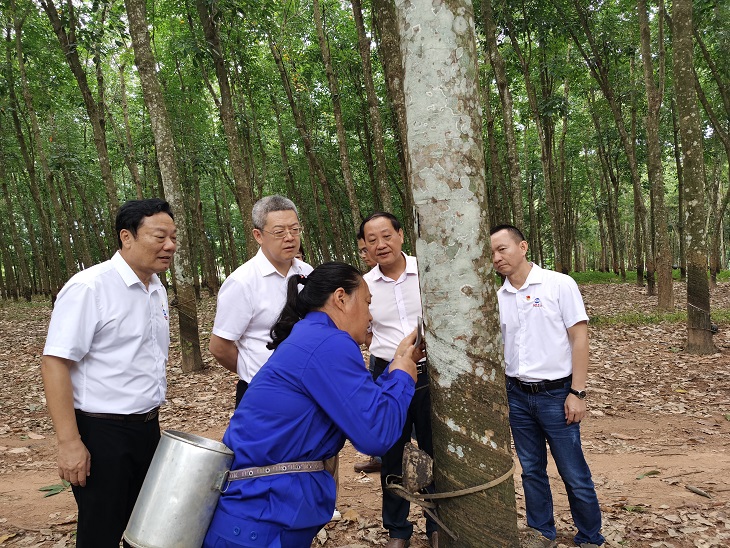 新澳门六合彩官网