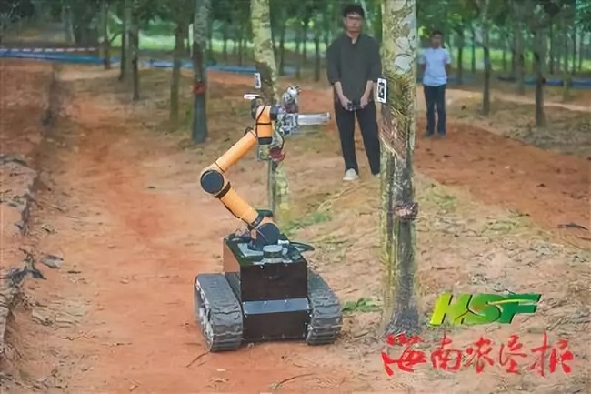 新澳门六合彩官网