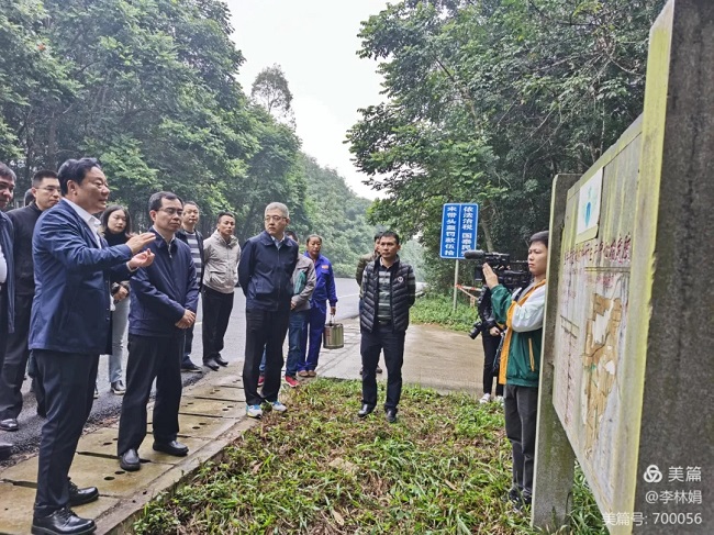 新澳门六合彩官网