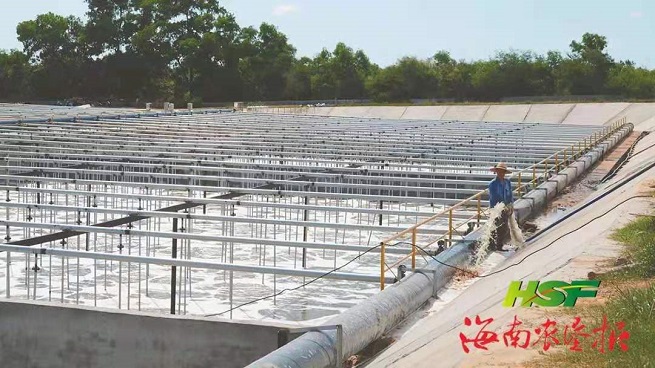 新澳门六合彩官网