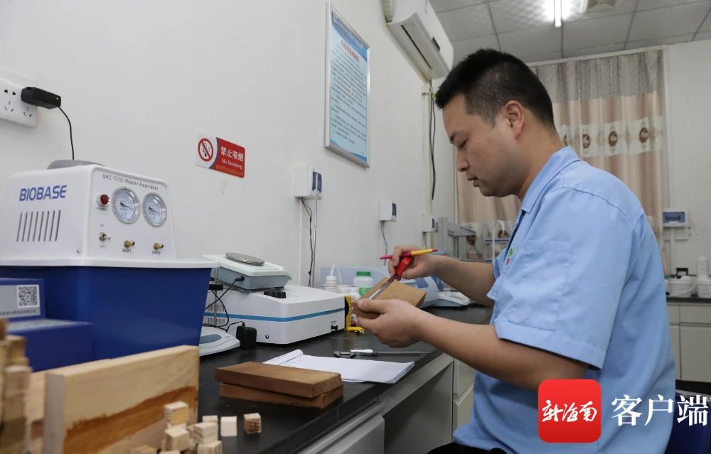 新澳门六合彩官网