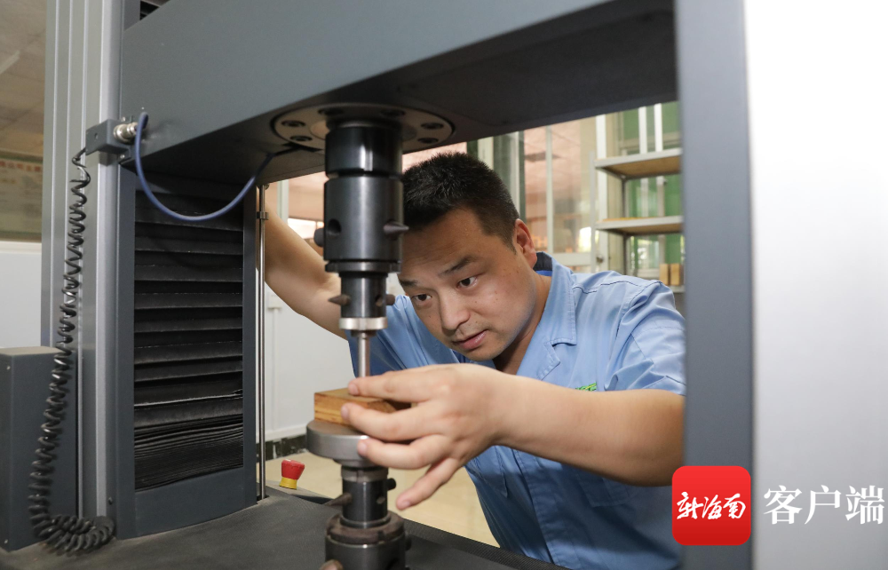 新澳门六合彩官网