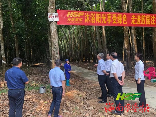 新澳门六合彩官网