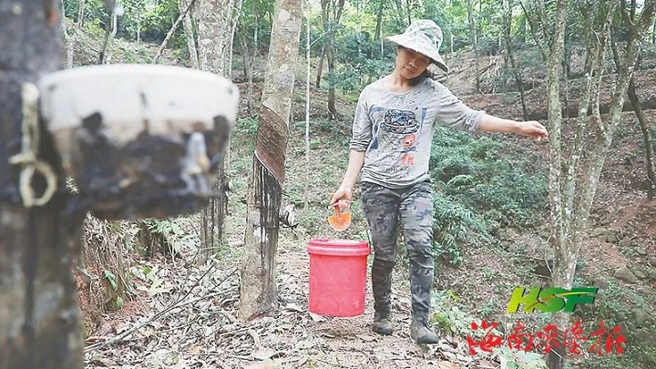 新澳门六合彩官网