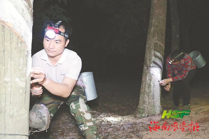 新澳门六合彩官网