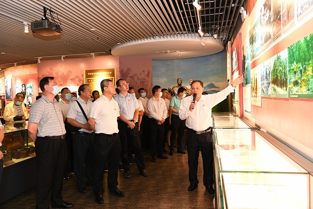 新澳门六合彩官网