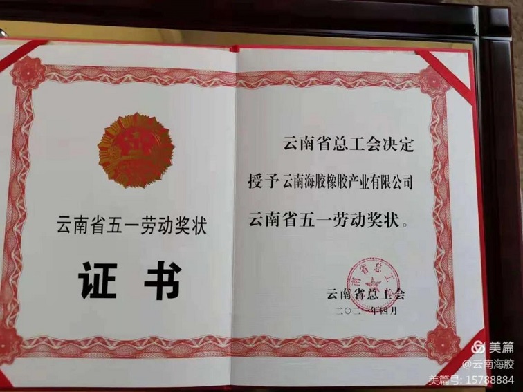 新澳门六合彩官网