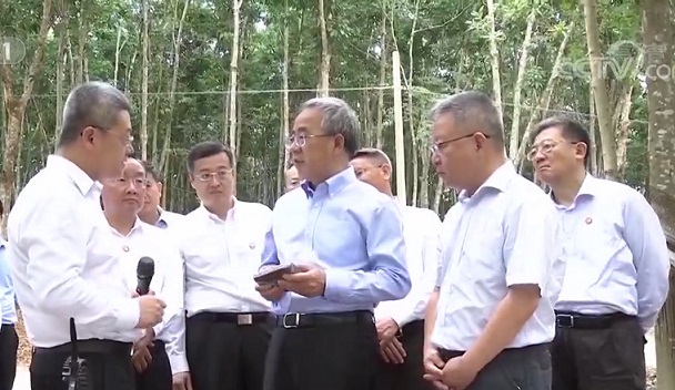 新澳门六合彩官网