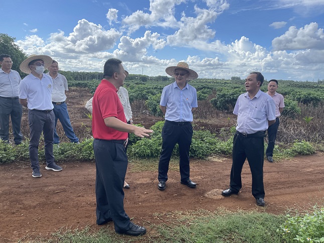 新澳门六合彩官网