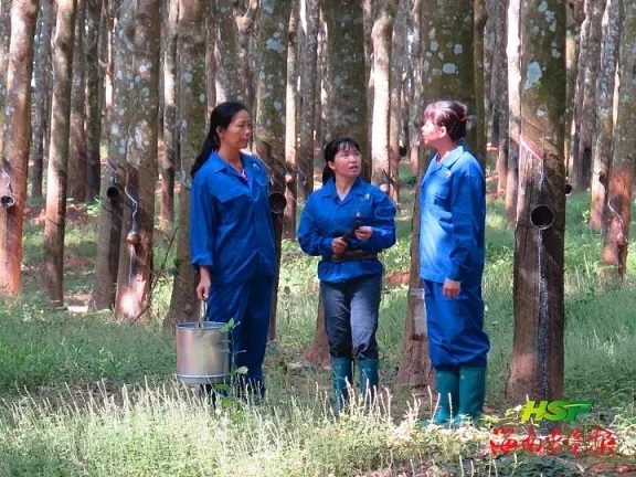 新澳门六合彩官网