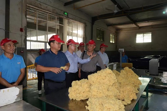 新澳门六合彩官网