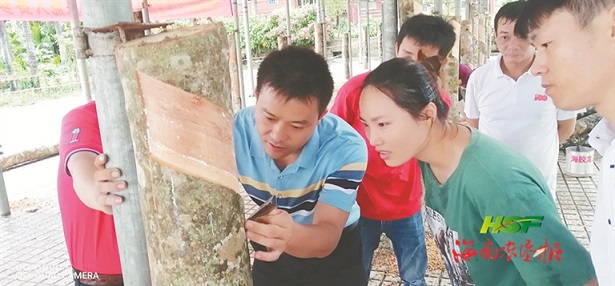 新澳门六合彩官网