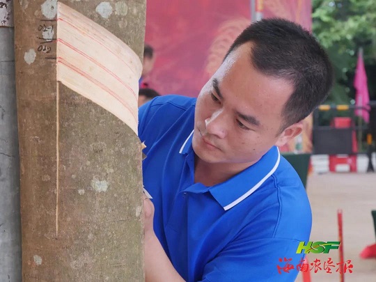 新澳门六合彩官网