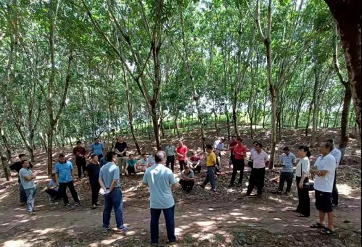 新澳门六合彩官网