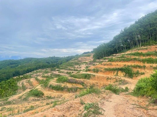 新澳门六合彩官网