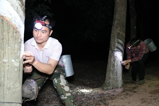 新澳门六合彩官网