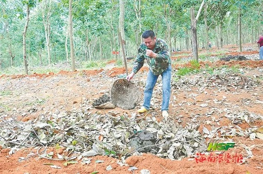 新澳门六合彩官网
