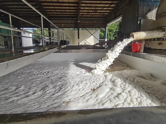 新澳门六合彩官网