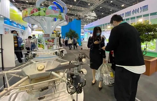 新澳门六合彩官网