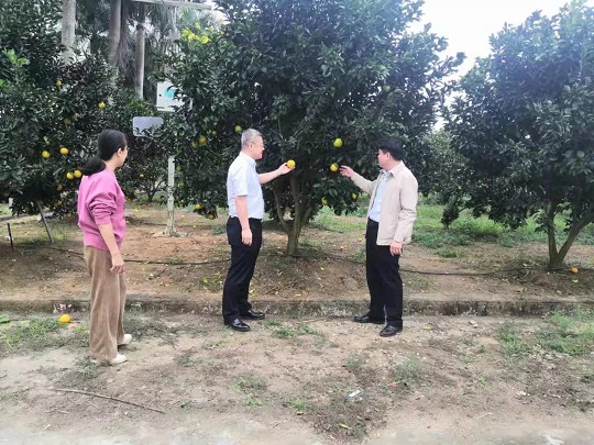 新澳门六合彩官网