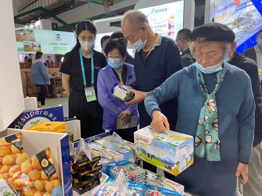 新澳门六合彩官网