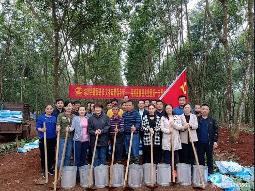 新澳门六合彩官网