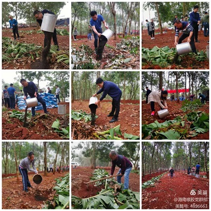 新澳门六合彩官网