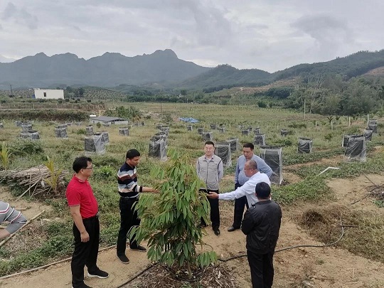 新澳门六合彩官网