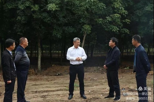 新澳门六合彩官网