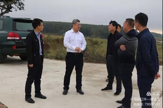 新澳门六合彩官网