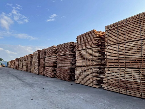 新澳门六合彩官网