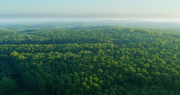 新澳门六合彩官网