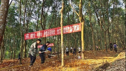 新澳门六合彩官网