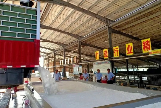 新澳门六合彩官网