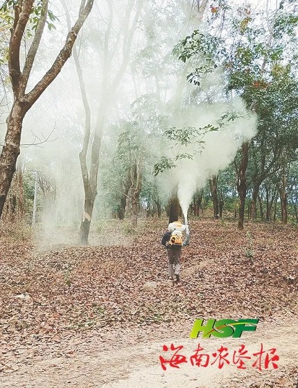 新澳门六合彩官网