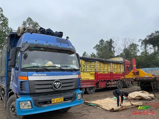 新澳门六合彩官网