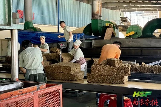 新澳门六合彩官网