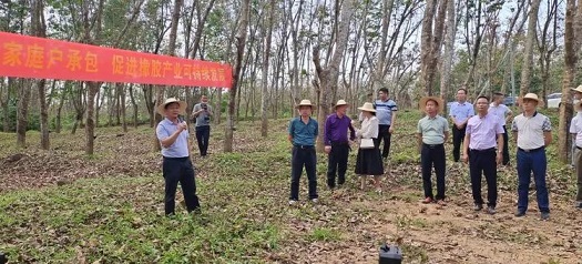 新澳门六合彩官网