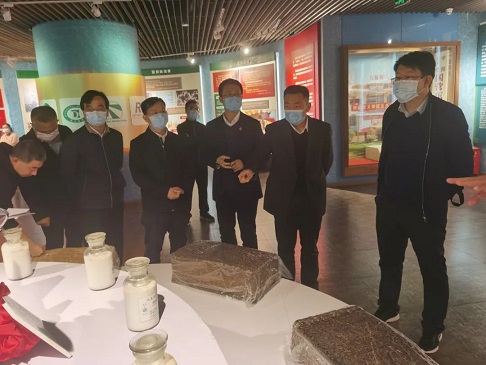 新澳门六合彩官网