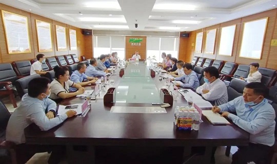 新澳门六合彩官网