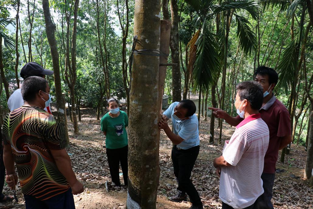 新澳门六合彩官网