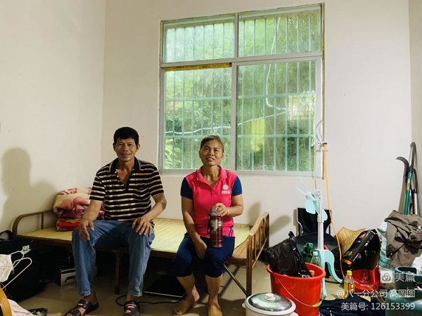 新澳门六合彩官网