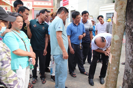 新澳门六合彩官网