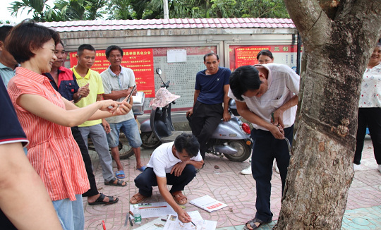 新澳门六合彩官网