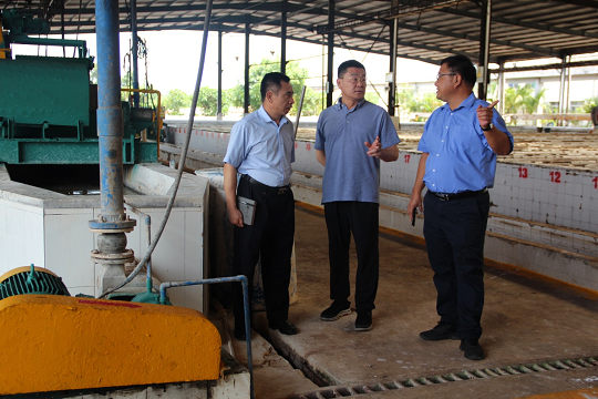 新澳门六合彩官网