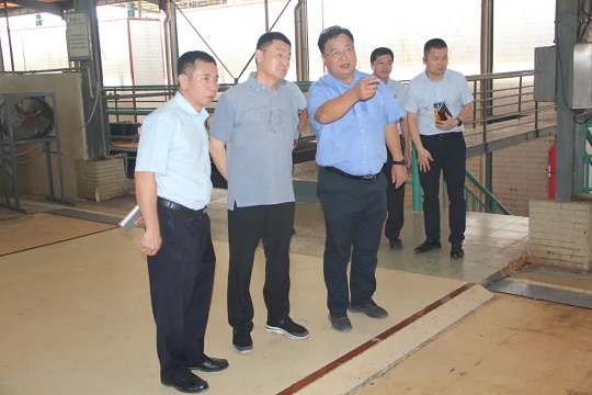 新澳门六合彩官网