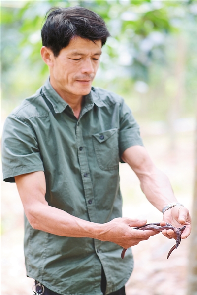 新澳门六合彩官网