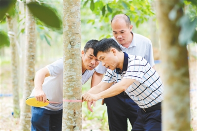 新澳门六合彩官网